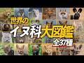 全種解説！ 世界のイヌ科大図鑑