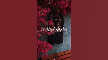 سورة الفتح آيه 22 #اكسبلور #suraalkahf #مصر #لايك #shortvideo #تيك_توك #القران #حالات_واتس #surakahf