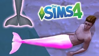 Dolphin Mermaid Tail - The Sims 4 Mermaid CC