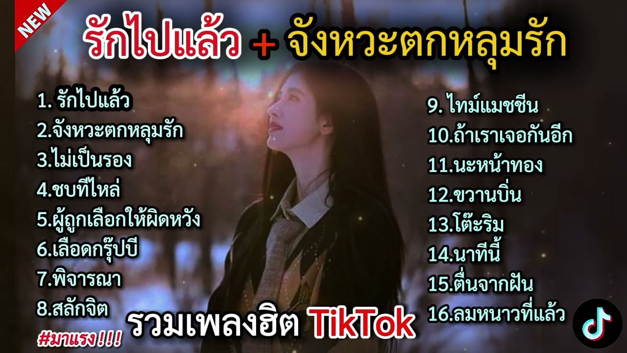 รวมเพลงฮิตในติ๊กต๊อก รวมเพลงในTikTokล่าสุด เพราะๆ 1 ชั่วโมง