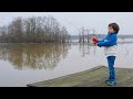 THE LAKE IS BACK!!!