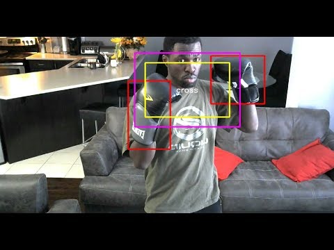 Object Detection and
