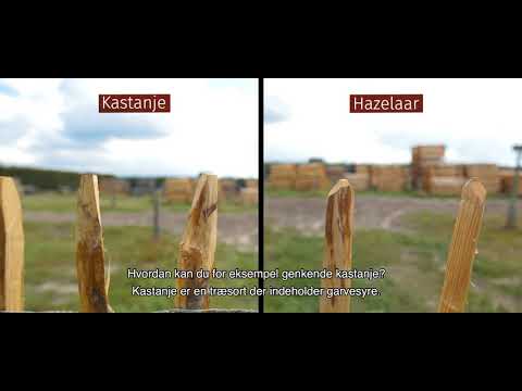 Video: Forskellen Mellem Brom Og Bromid