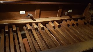 Bach / Krebs • Little prelude and fugue in A minor BWV 559 • pedal harmonium