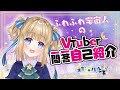 【自己紹介】Vtuber一問一答自己紹介☆【星熊アルル/新人Vtuber】
