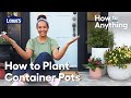 How to plant container pots  how to anything