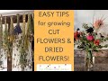 How to grow flowers for cutting and drying! Tips from an English country garden.