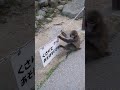 字が読めないとこうなります
