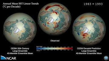The CESM Decadal Prediction Large Ensemble