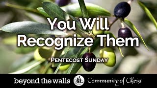 MAY 19 Beyond the Walls Online Church 2024
