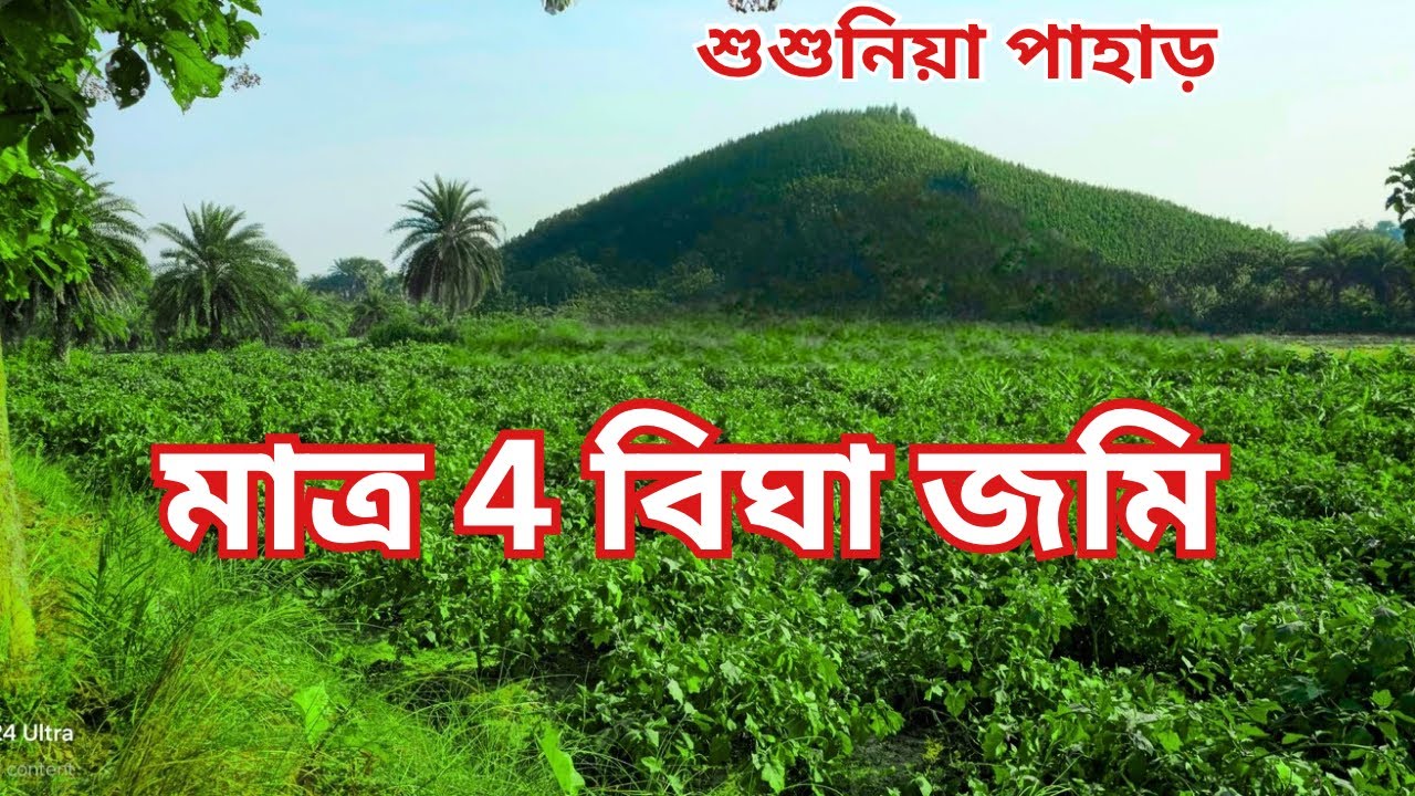Susunia Hill View & Mini River Side Property Only 4 Bigha . 5 Lakh Per Bigha