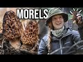 HUNTING MOREL MUSHROOMS as a FIRST TIMER  // Cooking & Dehydrating in a 13ft Scamp Trailer