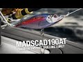 Is this the worlds fastest trolling lure  madscad190at from nomad design