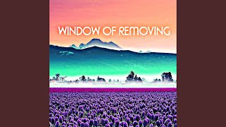 Window of Removing