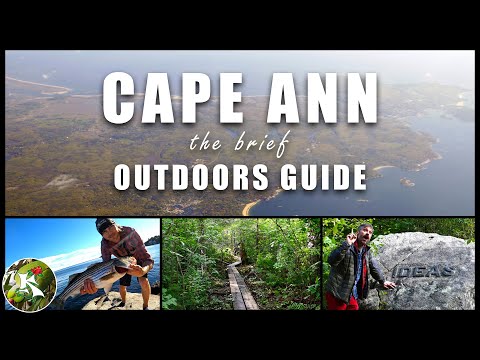 CAPE ANN: 7