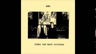 André Herman Düne (sings The Wave Pictures) - Without Feathers