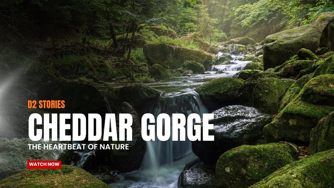 Cheddar Gorge cave/ Cheddar village / Somerset county