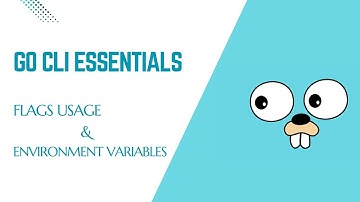 Final Part-Todo CLI Implementing Delete, Custom Flags & Environment Variables  in Go
