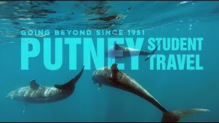 The Galápagos Community Service Summer Program For Teens Putney Student Travel