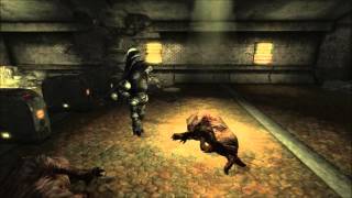 [9] Fallout 3 Roleplay - Into the Darkness [Hard Ironman]