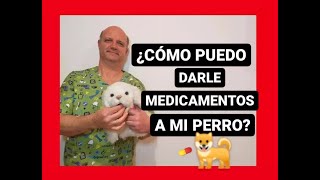 ¿Cómo puedo darle medicamentos a mi perro?