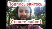 Спорт прогнозы от Дмитрия