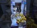 ¿Qué hay dentro del huevo dorado Ep 8? #shorts #clawmachine #arcade #money