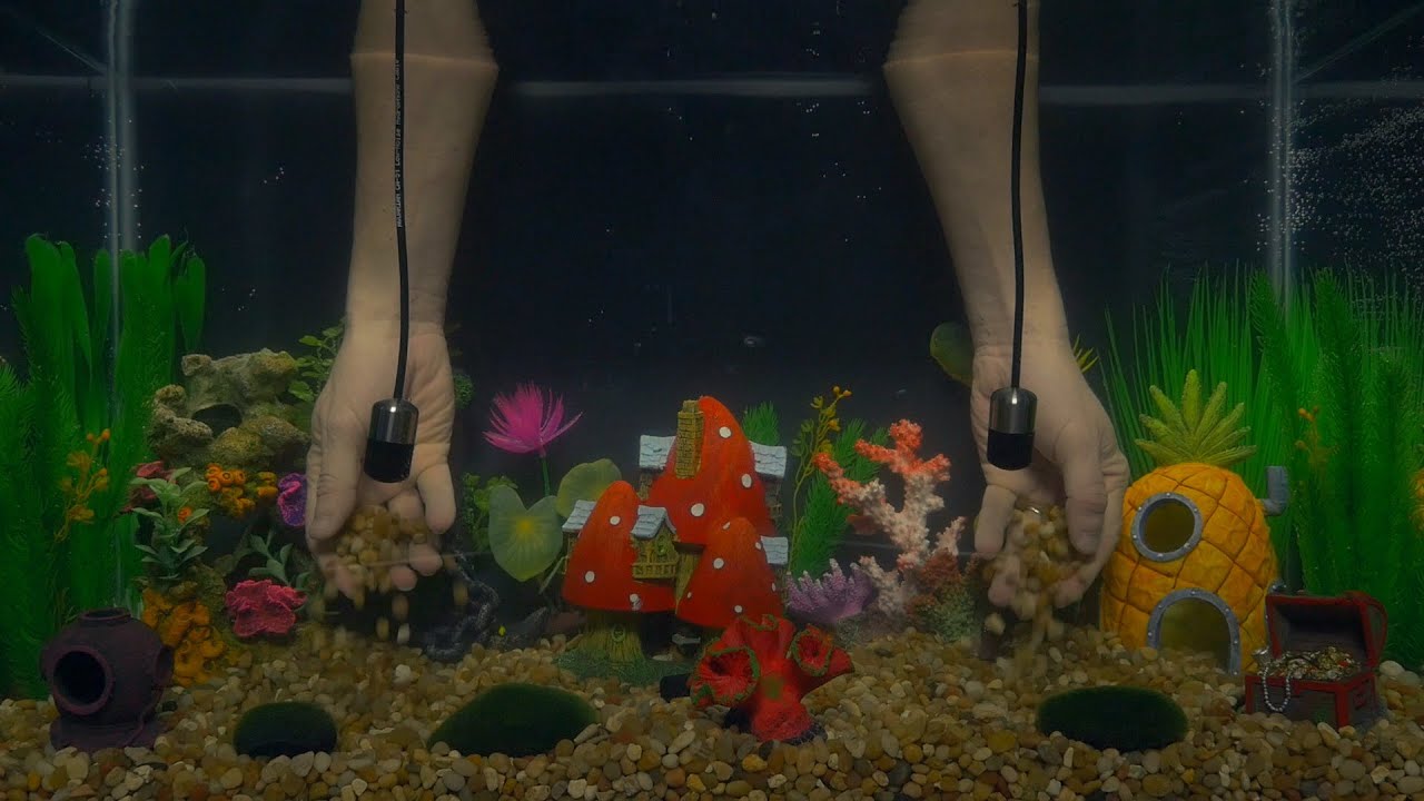 The ASMR Aquarium v1
