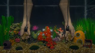 The ASMR Aquarium v1 screenshot 5