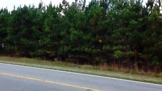 Homes for Sale - 3806 US Highway 258 S Tarboro NC 27886 - Donna Dew