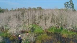 Vietnam tourism: Green experiences and sustainable travel