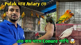 Exotic Bird Aviary In Agarpara  | Premium Quality Sun Conure, Albino Monk Parakeet, Etc.