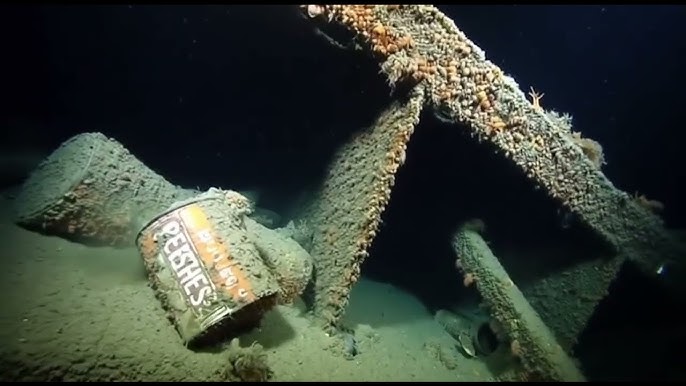 Titanic's Hidden Deck — What LIES Beneath the Ship's Forgotten Middle FLOOR - YouTube