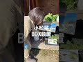 小松菜が無くなった!?そんな時は○○!!【美里オーストリッチファーム】#shorts