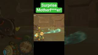 did not see that coming #skywardswordhd #zelda #letsplay #boss #bossfight