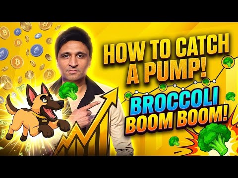 Crypto Pump Signals Explained: My Price Alert Strategy for 2026