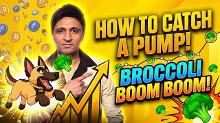 Crypto Pump Signals Explained My Price Alert Strategy For 2026