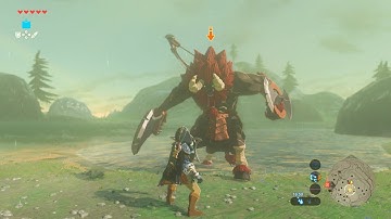 FIRST LYNEL FIGHT THEN THIS HAPPENED! | Breath of the Wild