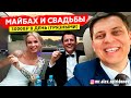 Вип такси и свадьба. Заказы Яндекс такси