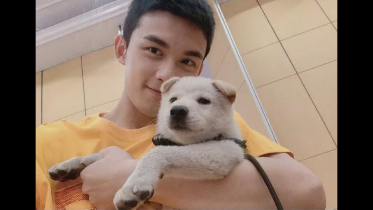 Wu Lei (吴磊) The "Nation's Little Brother" in China! YouTube