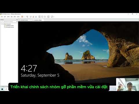 23103022-QTM-Lab 7