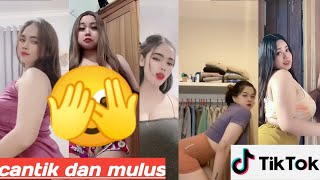 Tik Tok Gunung Gede Hot Body Sexytiktokpemersatubangsaberdamage 