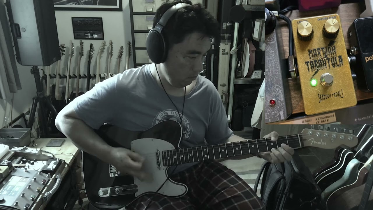 Skreddy Pedals Martian Tarantula Demo - YouTube