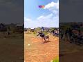 Morattu KaalaiЁЯШИЁЯФеЁЯШотАНЁЯТи Jallikattu Video Manjuvirattu Videos Jallikattu Manjuvirattu Tamilan Morattu KaalaiЁЯШИЁЯФеЁЯШотАНЁЯТи Jallikattu Video Manjuvirattu Videos Jallikattu Manjuvirattu Tamilan