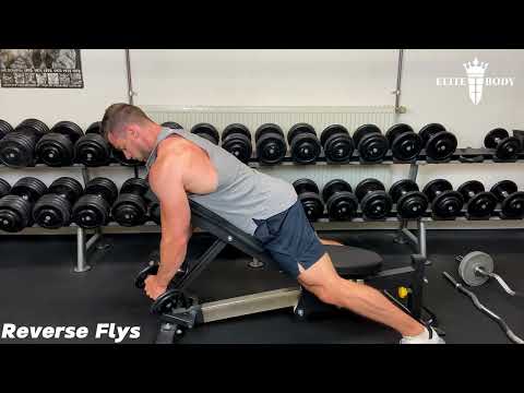 Reverse Flys - Tutorial by Personal Trainer #shoulders