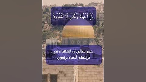 ولا تقولو لمن يقتل في سبيل الله أموات ، من سورة البقرة.....