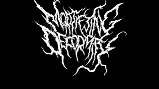 Mortifying Deformity - Promotional (2019) [Full Promo]