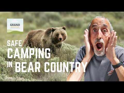 Video: Kaip laikyti savo šunį saugiai stovykloje „Bear Country“