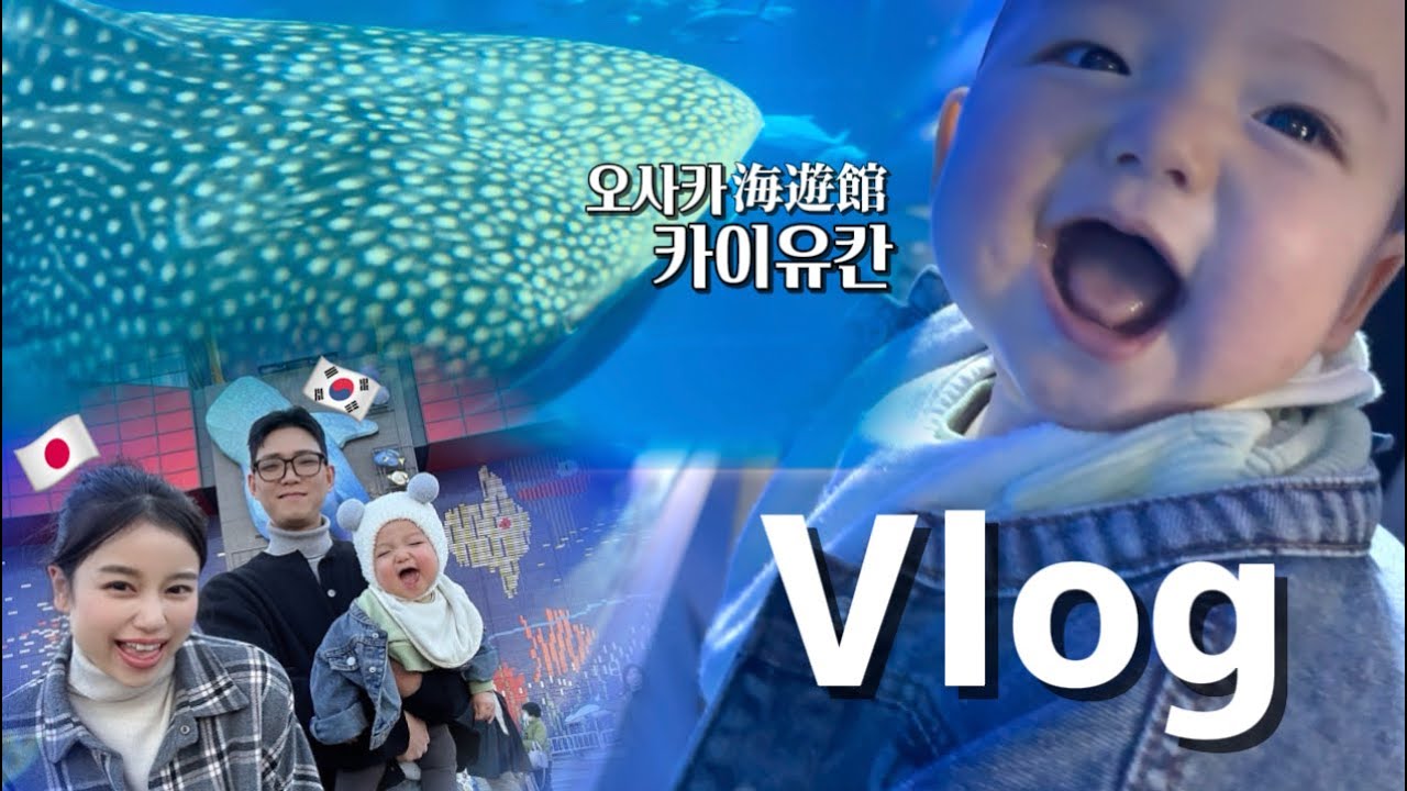 【한일부부Vlog】첫 수족관에서 만점의 반응을 보여준 아들😇 오사카 나들이 🐙 / 初めての水族館の反応が可愛すぎた😍 大阪での一日ブイログ
