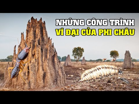 Video: Anh chuẩn bị trưng thu vốn